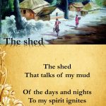 The shed